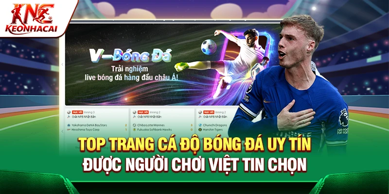 Top Trang Cá Độ Bóng Đá Uy Tín Được Người Chơi Việt Tin Chọn