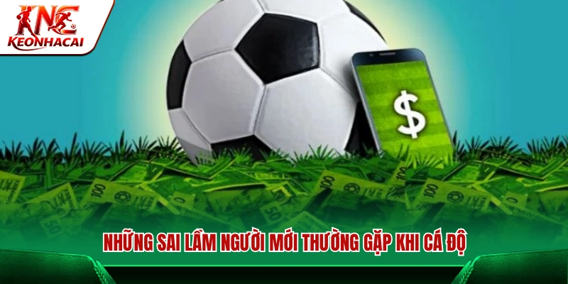 Các lỗi phổ biến người mới hay mắc phải khi cá cược