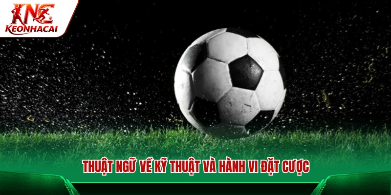 Các thuật ngữ cá độ bóng đá và kỹ thuật cần biết 